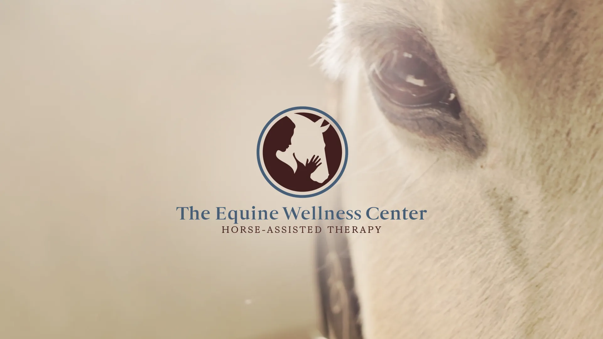 The Equine wellness Center