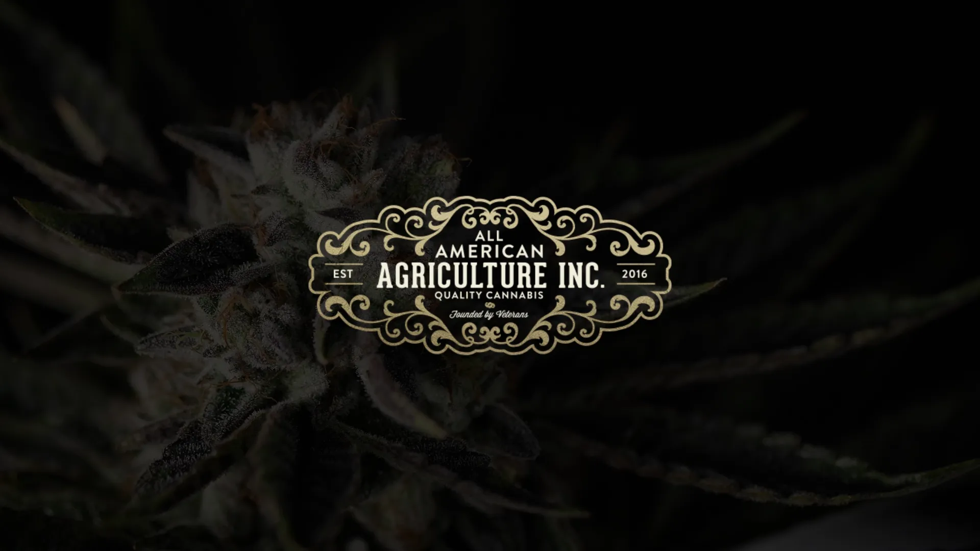 All American Agriculture